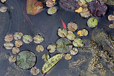 官方宣布《NBA 2K25》PC端确认将为“新世代”版本